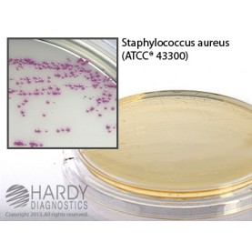 Hardy Diagnostic P14 Dry Culture Media, HardyCHROM MRSA Contact Plate,  70 Day Shelf Life (Pack of 10)