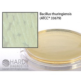 Hardy Diagnostic P15 Dry Culture Media, PLET Agar Contact Plate,  90 Day Shelf Life (Pack of 10)