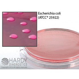 Hardy Diagnostic P47 Dry Culture Media, MacConkey Agar Contact Plate,  90 Day Shelf Life (Pack of 10)