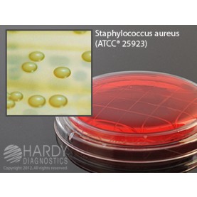 Hardy Diagnostic P98 Dry Culture Media, Mannitol Salt Agar Plate,  90 Day Shelf Life (Pack of 10)