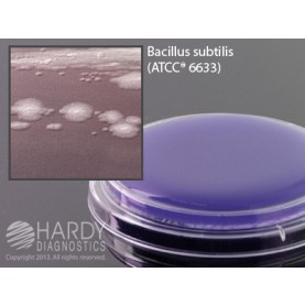 Hardy Diagnostic P99 Dry Culture Media, D/E Neutralizing Agar Plate,  90 Day Shelf Life (Pack of 10)