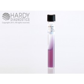 Hardy Diagnostic R22 Liquid Culture Media, Lysine Iron Agar(LIA) Slant Tube,  270 Day Shelf Life (Pack of 20)