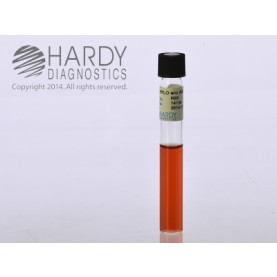 Hardy Diagnostic R80 Liquid Culture Media, PPLO Broth Tube,  5 mL, 180 Day Shelf Life (Pack of 20)