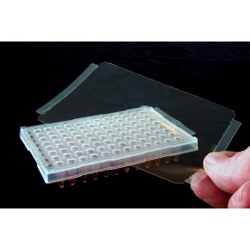 TS-RT2RR-100 Excel Scientific ThermalSeal RT2RR™ Microplate Sealing Film for Real-Time PCR for Raised Rim Plates Sealing Film, Polyester, Optically Clear, 50 µm Thick, Not Sterile (Pack of 100)