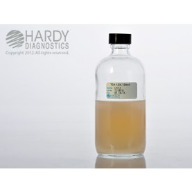 Hardy Diagnostic U112 Liquid Culture Media, TSA 1.5x Bottle,  150 mL, 365 Day Shelf Life (Pack of 20)