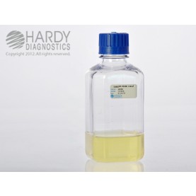 Hardy Diagnostic U270 Liquid Culture Media, Sabdex Agar Bottle,  200 mL, 180 Day Shelf Life (Pack of 10)