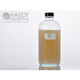 Hardy Diagnostic U360 Liquid Culture Media, TSA Bottle,  400 mL, 180 Day Shelf Life (Pack of 12)