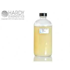 Hardy Diagnostic U395 Liquid Culture Media, Standard Methds Ag Bottle,  400 mL, 180 Day Shelf Life (Pack of 12)