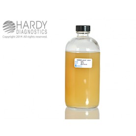 Hardy Diagnostic U431 Liquid Culture Media, Sabdex Agar w/ L&T Bottle,  400 mL, 180 Day Shelf Life (Pack of 12)