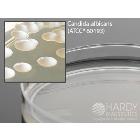 Hardy Diagnostic W119 Dry Culture Media, Czapek Dox Agar Plate,  90 Day Shelf Life (Pack of 10)