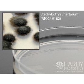 Hardy Diagnostic W173 Dry Culture Media, Stachybotrys Selective Agar Plate,  90 Day Shelf Life (Pack of 10)