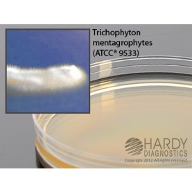 Hardy Diagnostic W27 Dry Culture Media, Inhib.Mold Agar w/ Genta Plate,  90 Day Shelf Life (Pack of 10)