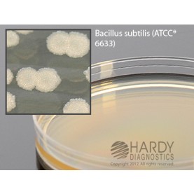 Hardy Diagnostic W41 Dry Culture Media, TSA w/ L+T Plate,  90 Day Shelf Life (Pack of 10)