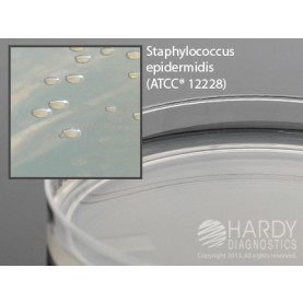 Hardy Diagnostic W51 Dry Culture Media, Nutrient Agar Plate Plate,  90 Day Shelf Life (Pack of 10)