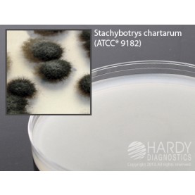 Hardy Diagnostic W83 Dry Culture Media, Cellulose Agar Plate,  90 Day Shelf Life (Pack of 10)