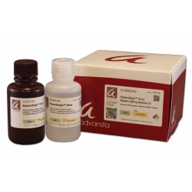 K-12043-D10  Advansta HRP Substrate Kit 100 mL