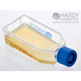 Hardy Diagnostic X10 Broth, BHI Agar Plastic HardyFlask,  120 Day Shelf Life (Pack of 20)