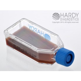 Hardy Diagnostic X13 Broth, BHI Agar w/ Blood Plastic HardyFlask,  120 Day Shelf Life (Pack of 20)