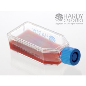 Hardy Diagnostic X14 Broth, BHI Agar w/ Blood Plastic HardyFlask,  120 Day Shelf Life (Pack of 20)