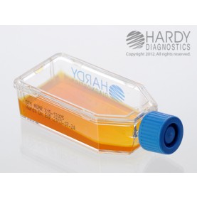 Hardy Diagnostic X15 Broth, DTM Agar Plastic HardyFlask,  180 Day Shelf Life (Pack of 20)