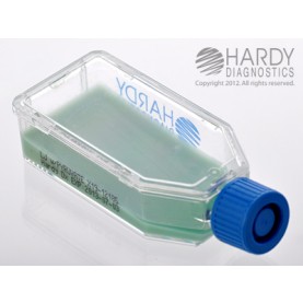 Hardy Diagnostic X19 Broth, LJ w/ Pyruvate Plastic HardyFlask,  365 Day Shelf Life (Pack of 20)