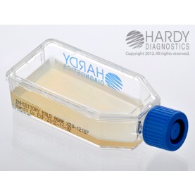 Hardy Diagnostic X20 Broth, Inhibitory Mold Agar Plastic HardyFlask,  120 Day Shelf Life (Pack of 20)