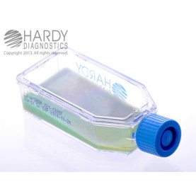 Hardy Diagnostic X21 Broth, Lowenstein Jensen w/ Iron Plastic HardyFlask,  365 Day Shelf Life (Pack of 20)