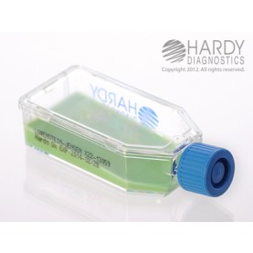 Hardy Diagnostic X22 Broth, LJ Media Slant Plastic HardyFlask,  365 Day Shelf Life (Pack of 20)