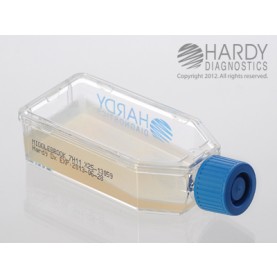 Hardy Diagnostic X25 Broth, Middlebrook 7H11 Agar Plastic HardyFlask,  120 Day Shelf Life (Pack of 20)