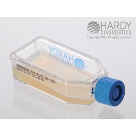 Hardy Diagnostic X28 Broth, Middlebrook 7H11 Plastic HardyFlask,  120 Day Shelf Life (Pack of 20)