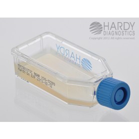 Hardy Diagnostic X30 Broth, Mycobiotic Agar Plastic HardyFlask,  120 Day Shelf Life (Pack of 20)