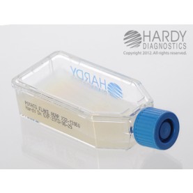 Hardy Diagnostic X32 Broth, Potato Flake Agar Plastic HardyFlask,  120 Day Shelf Life (Pack of 20)