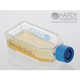 Hardy Diagnostic X40 Liquid Culture Media, Sabdex Agar Plastic HardyFlask,  12 mL, 120 Day Shelf Life (Pack of 20)