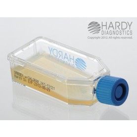 Hardy Diagnostic X41 Broth, Sabdex Agar w/ Chlorineoramphen Plastic HardyFlask,  120 Day Shelf Life (Pack of 20)