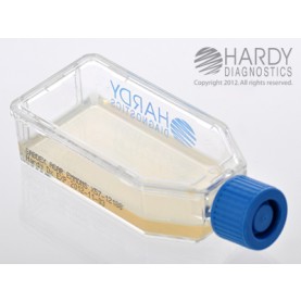 Hardy Diagnostic X57 Broth, Sabdex Agar Emmons Plastic HardyFlask,  120 Day Shelf Life (Pack of 20)