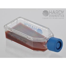 Hardy Diagnostic X73 Broth, SabHI Agar w/ Bl Chlorineoramphen & Cyclo Plastic HardyFlask,  120 Day Shelf Life (Pack of 20)