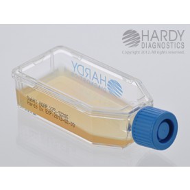 Hardy Diagnostic X75 Broth, SabHI Agar Plastic HardyFlask,  120 Day Shelf Life (Pack of 20)