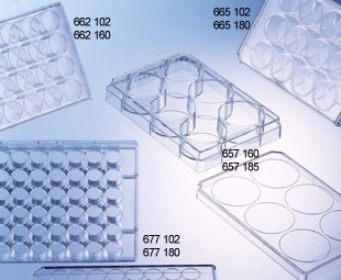 Greiner-Bio CELLSTAR 6 Well Cell Culture Microplate, TC Treated, Clear (5 plates per sleeve/ 120 per case)