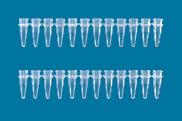 BrandTech 781281 0.2 mL PCR 12-Tube Strip, Rose