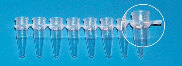 BrandTech 781320 0.2 mL PCR 8-Tube Strip, Clear