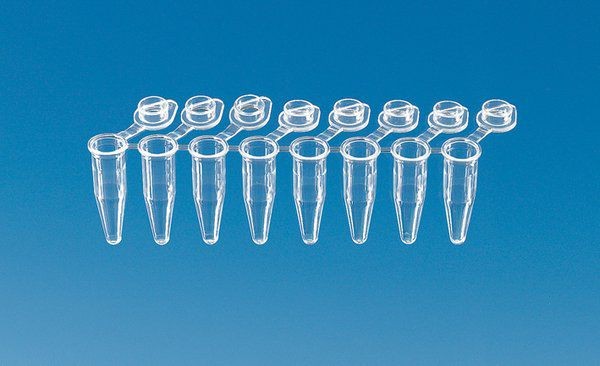 BrandTech 781332 0.2 mL PCR 8-Tube Strip, Clear, Snap Caps