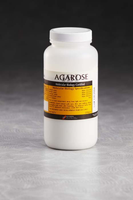 IBI Scientific Agarose-250 gm