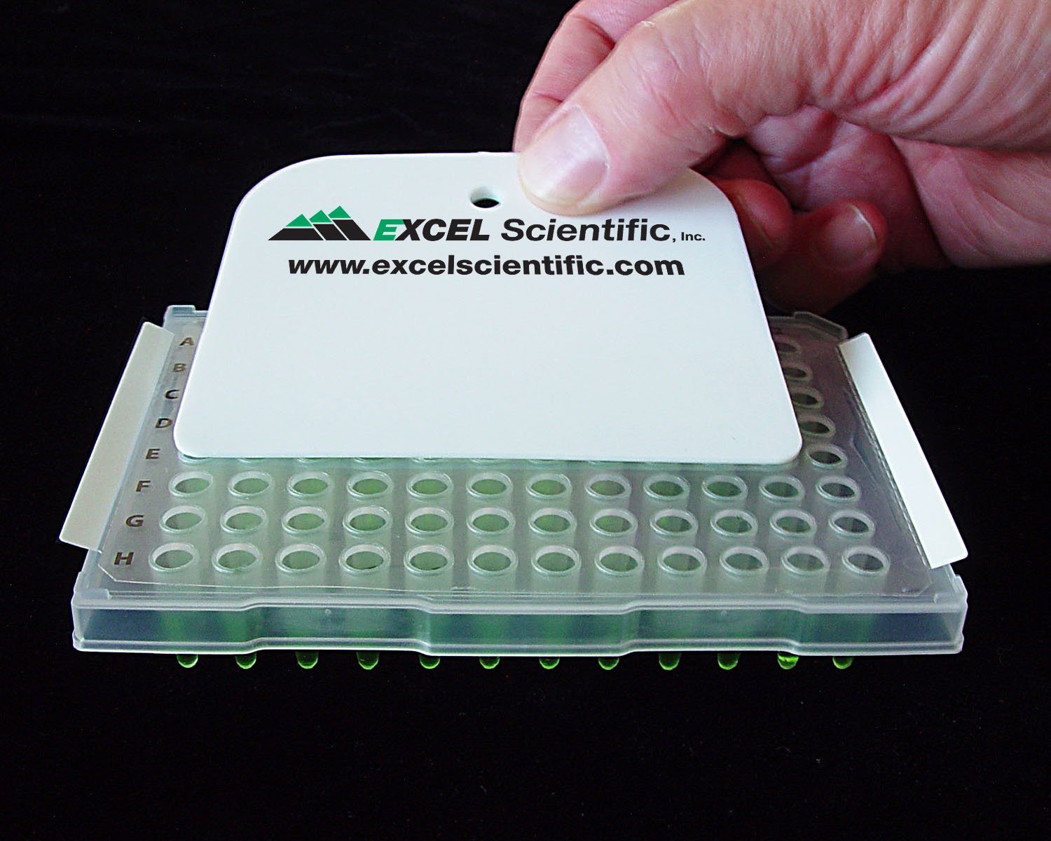 Excel Scientific ThermalSeal A™ Microplate Sealing Film for PCR & Storage, Polyester Sealing Film, Clear, 50 µm Thick, Not Sterile (Pack of 100)