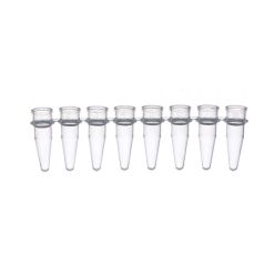 PCR 0.2ml strip tubes, clear
