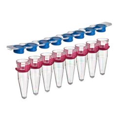 COMBO Sapphire PCR 0.2ml strip tubes and caps, ergonomic