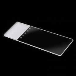 Globe Scientific Frosted Glass Microscope Slide, 25 x 75 mm, Beveled Edges, Clipped Corners, Frosted on Both Sides, 144 Slides