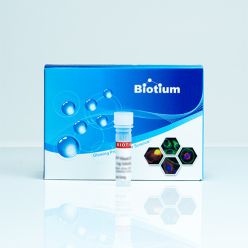 CF®488A Goat Anti-Mouse IgG3 (γ3), 2mg/mL