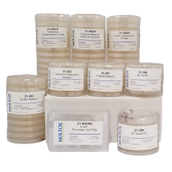Moltox 21-201 Ampicillin Master Plates (5 plates/sleeve)