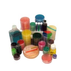 Moltox 21-40S21 m-Endo LES Agar Plates, 60 mm (10 plates/sleeve)