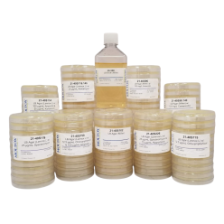 Moltox 21-40S228.140 LB Agar w/ Spectinomycin & Kanamycin (10 plates/sleeve)